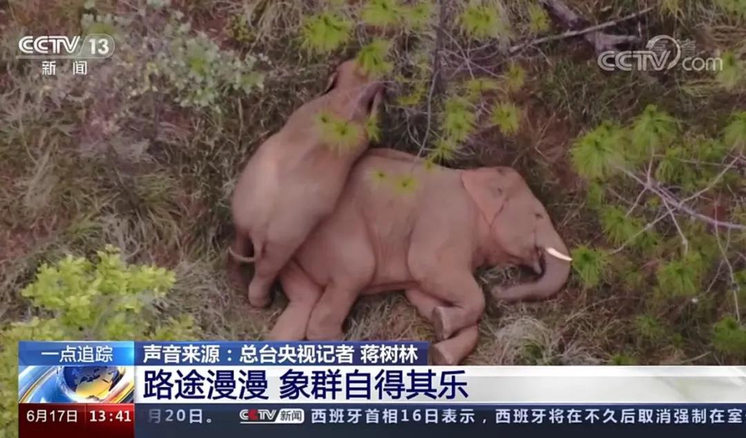 &#80;&#71;&#30005;&#23376;&#45;&#80;&#71;&#40;&#20013;&#22269;&#41;&#19968;&#31449;&#24335;&#26381;&#21153;&#23448;&#26041;&#32593;&#31449;